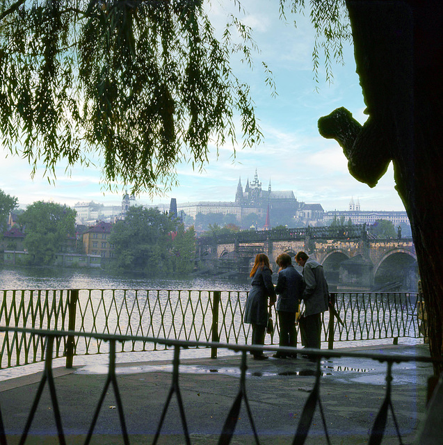 HFF... really two fences.... from Prague