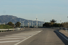 Zwischen Jerez und Algeciras