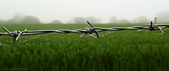 Misty morning fence jewellery trio (1 x PiP)