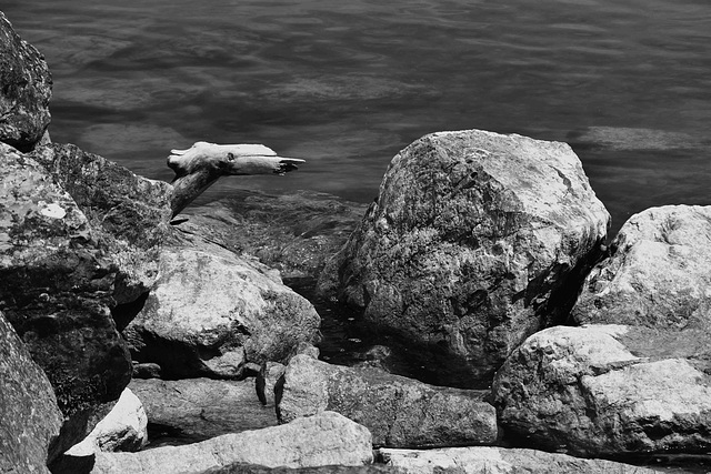 Au bord du lac Léman