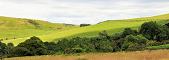 Scotland St. Cuthbert's Way