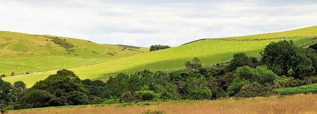 Scotland St. Cuthbert's Way