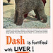 Dash Dog Food Ad, c1950