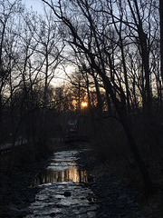 IMG 4074