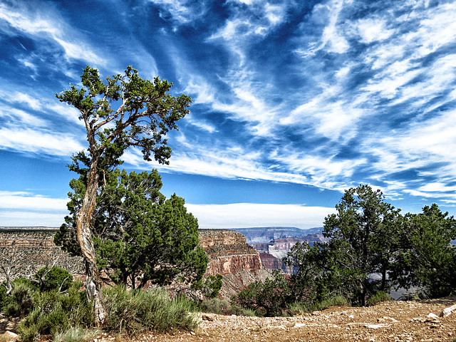 Grand Canyon National Park