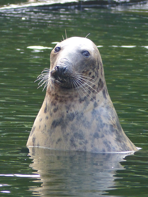 Warsaw Zoo (32) - 21 September 2015