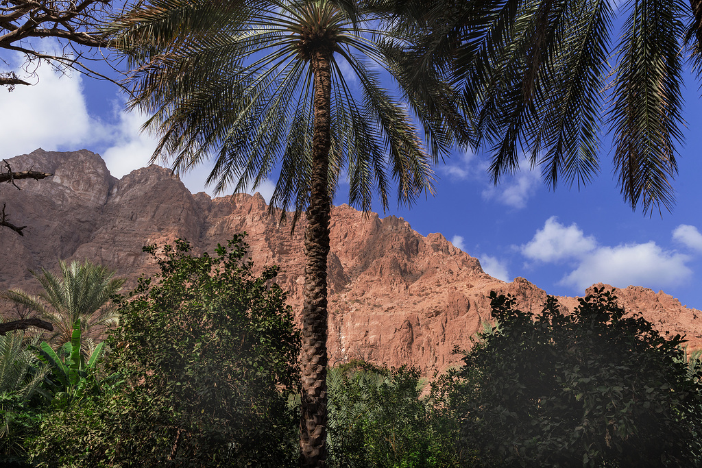 Wadi Tiwi