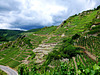 DE - Mayschoß - Red wine trail