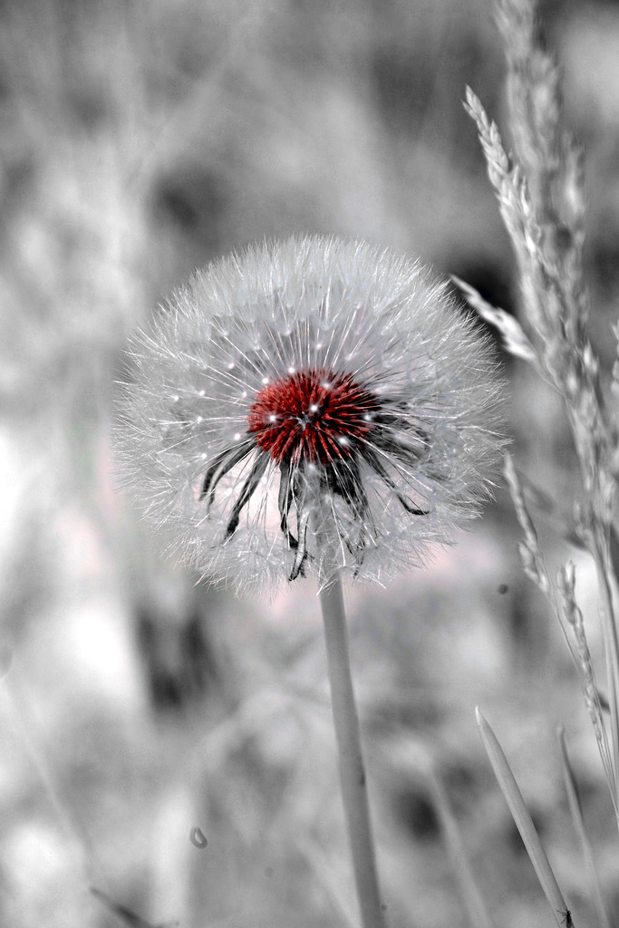 Infrared is often a surprise