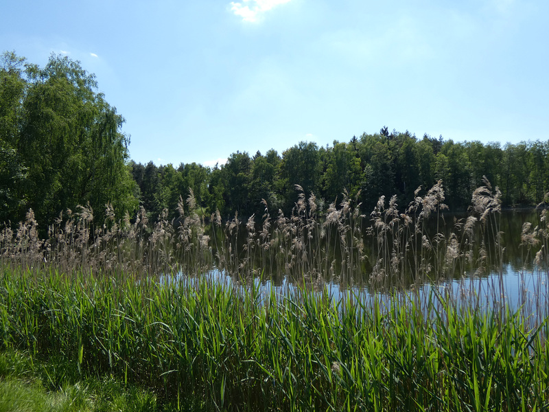 Charlottenhofer Weihergebiet