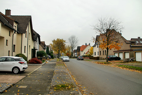 Bismarckstraße (Waltrop-Brockenscheidt) / 17.11.2019