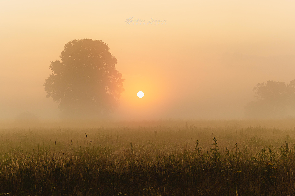 Sonnenaufgang Elterner Graben