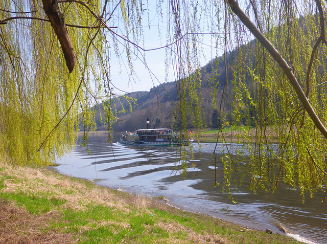 'Weiße Flotte' im Frühling - 'Blanka Ŝiparo' en printempo