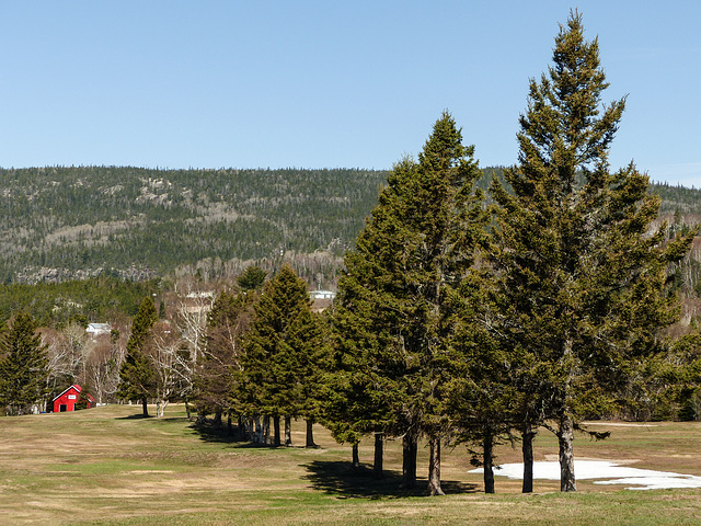 Day 6, Tadoussac Golf Course