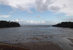 Passage sauvage vers les nuages en marge