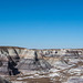 The Petrified Forest, 22Arizona