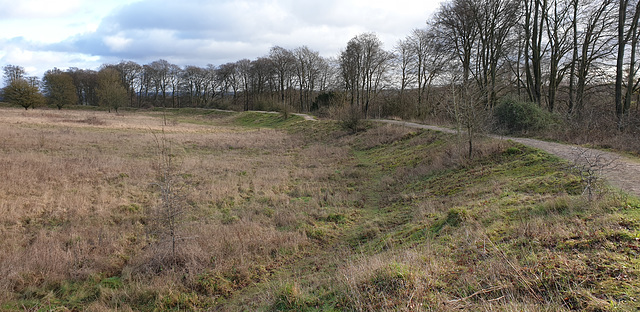 Danebury Iron Age Hillfort