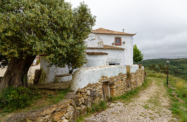 Mata Pequena, Portugal