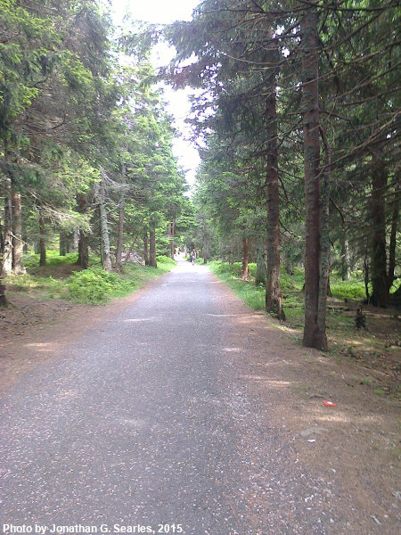 Hiking Trail, Picture 2, Snezka, Kralovehradecky kraj, Bohemia(CZ), 2015