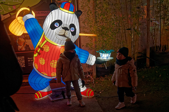Ce panda a failli ébouillanter les enfants en voulant faire le malin !