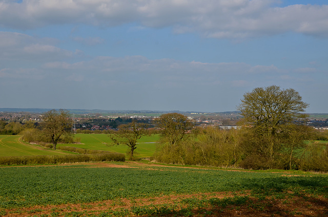 Stafford fields