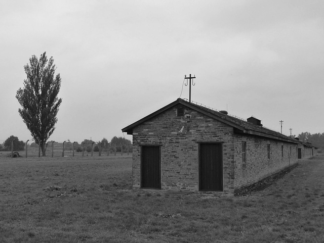 Auschwitz (49) - 19 September 2015