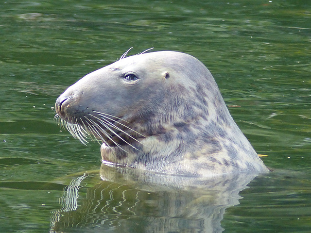 Warsaw Zoo (34) - 21 September 2015