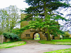Magnificent Tree at Wormleighton Manor Gatehouse
