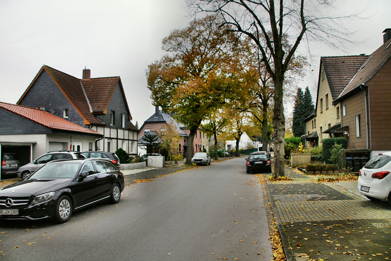 Kaiserstraße (Waltrop-Brockenscheidt) / 17.11.2019