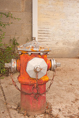 photogenic hydrant
