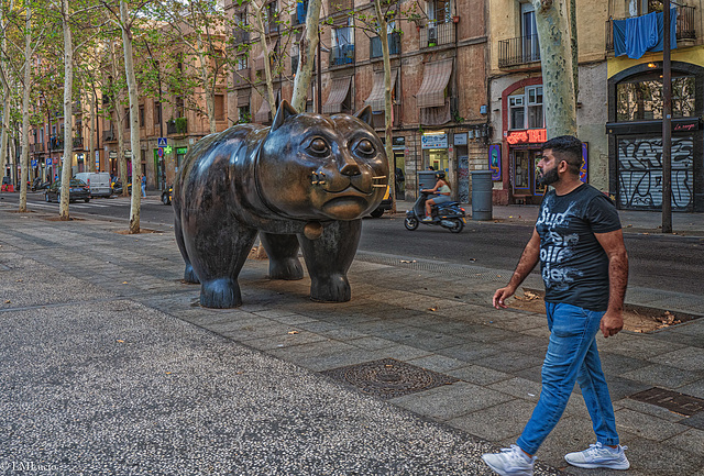 El gato de Botero