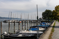 Bodman, Bodensee