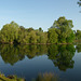 Etang de pêche de Saint Maximin 60)