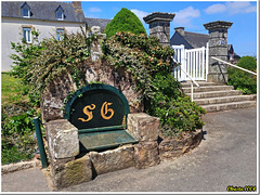 Saint Gall fountain - HFF