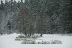 Immer noch Winter ;-)