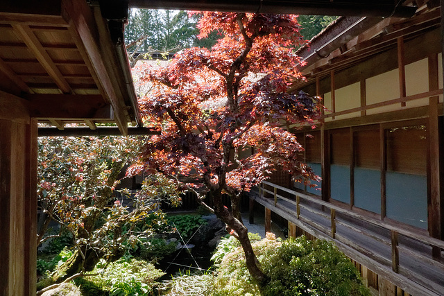 Temple Kongōbu-ji (9)