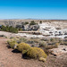 The Petrified Forest, 26Arizona