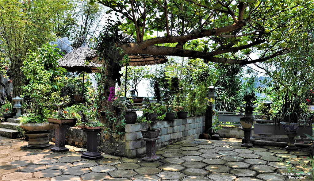 Vietnam 2016  / Hoi An / Danang 4xPiP