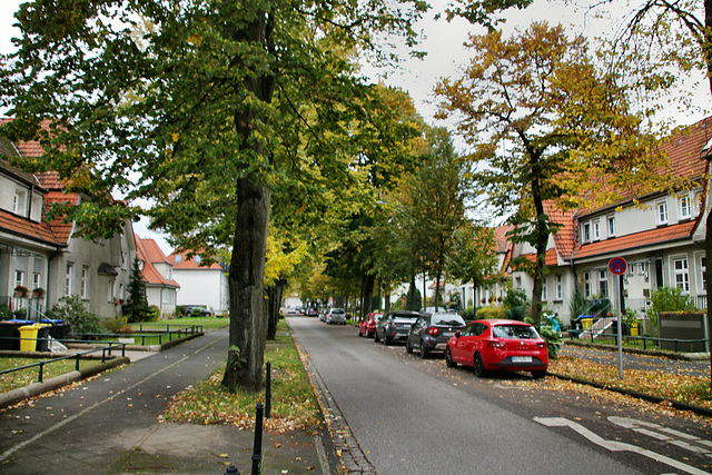 Am Kämpchen (Gartenstadt Welheim, Bottrop) / 20.10.2021