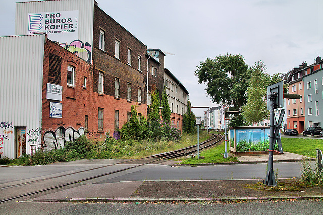 Hafenbahngleis neben der Lagerhausstraße (Hafen Dortmund) / 19.08.2023