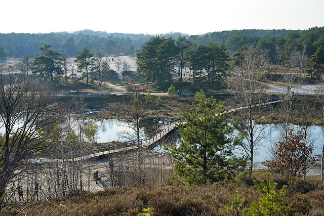 ''a Bridge over stagnant water ! ''