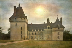 Château de l'Isle-Savary