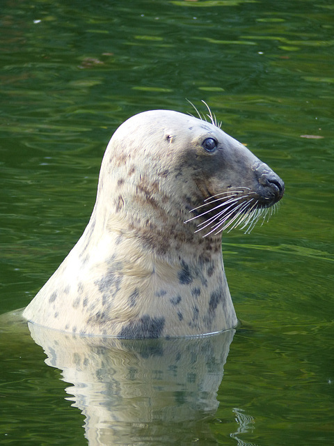 Warsaw Zoo (35) - 21 September 2015