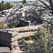 The Petrified Forest, 27Arizona