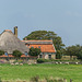 Schafzucht auf Texel