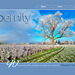 ipernity homepage with #1633