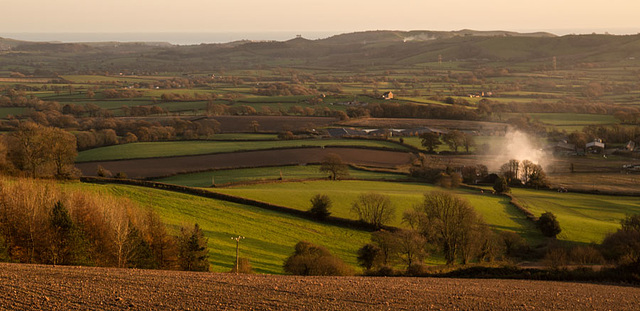 Marshwood Vale on a November afternoon