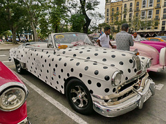 Cuba - Autista e auto a pois