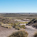 The Petrified Forest, 30Arizona