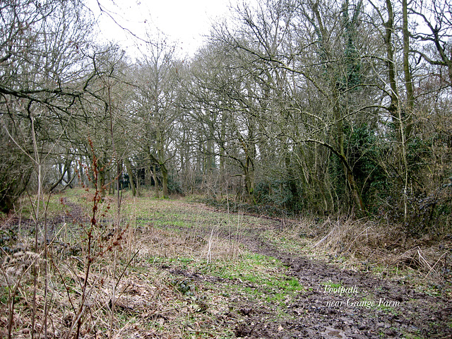 Footpath near Grange Farm